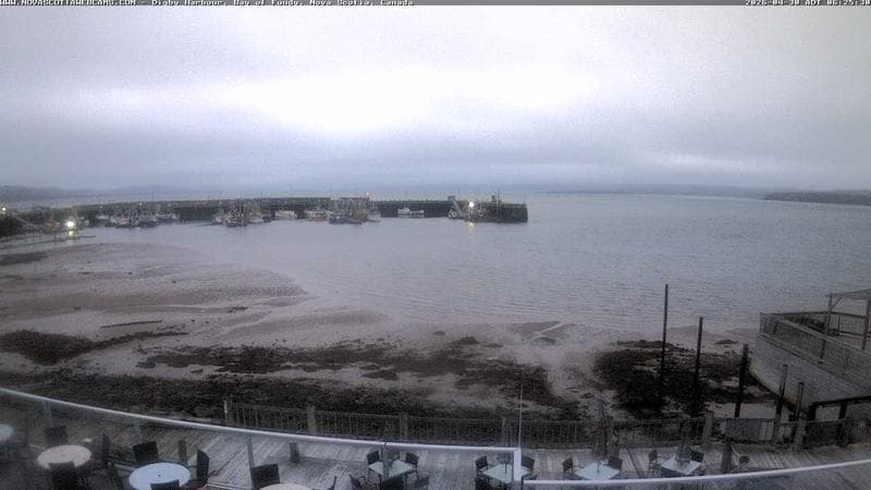 Digby Harbour