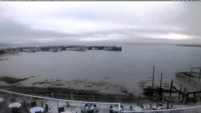 Digby Harbour