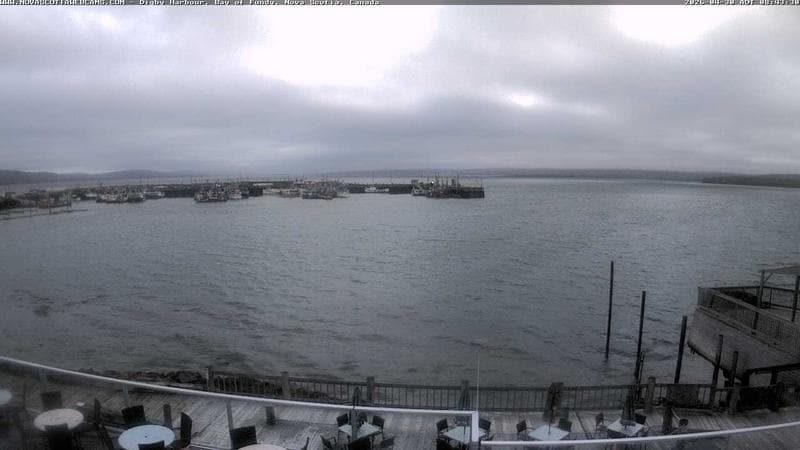 Digby Harbour