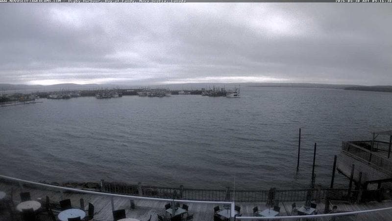Digby Harbour