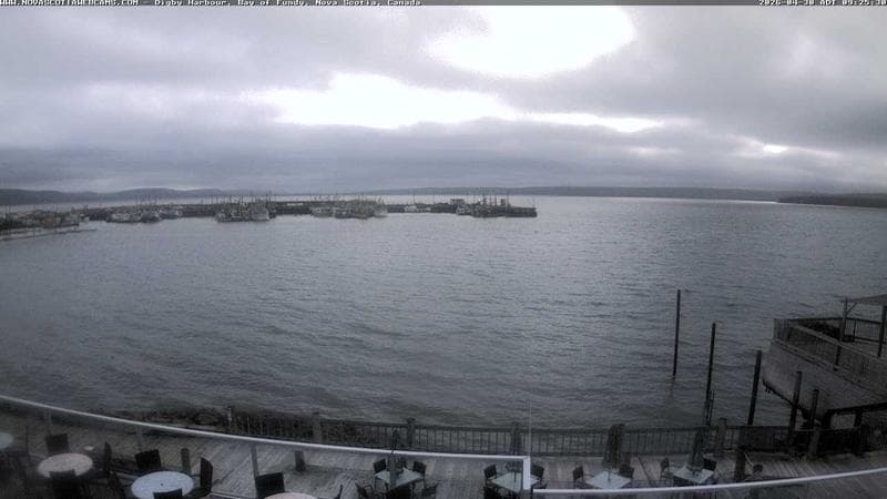 Digby Harbour