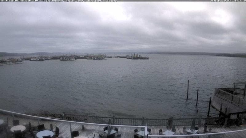 Digby Harbour
