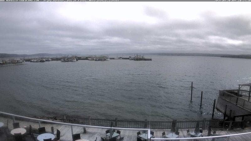 Digby Harbour