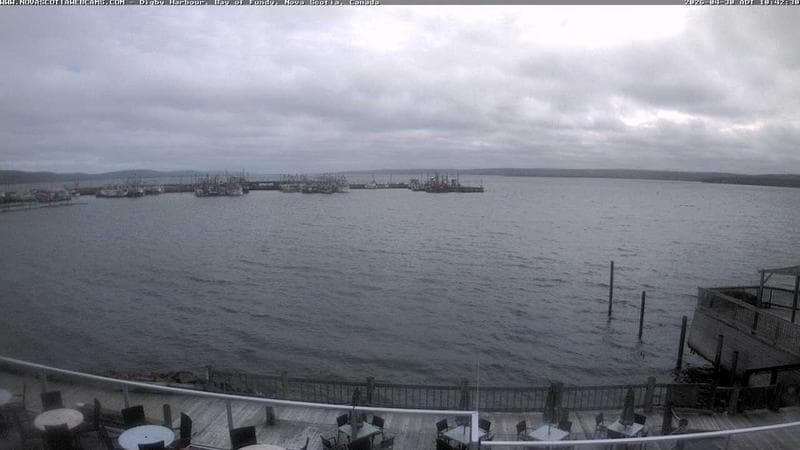 Digby Harbour