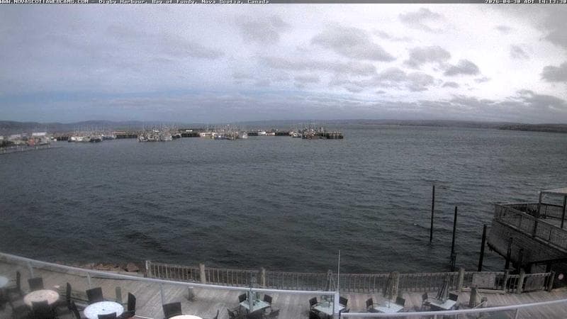 Digby Harbour