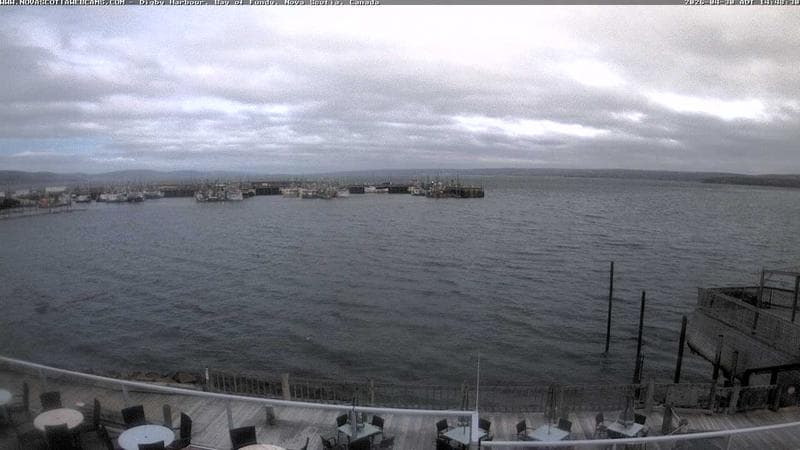 Digby Harbour