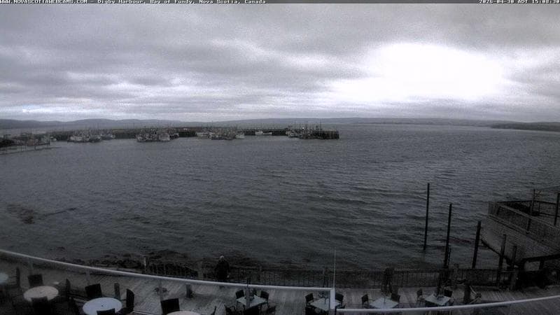 Digby Harbour