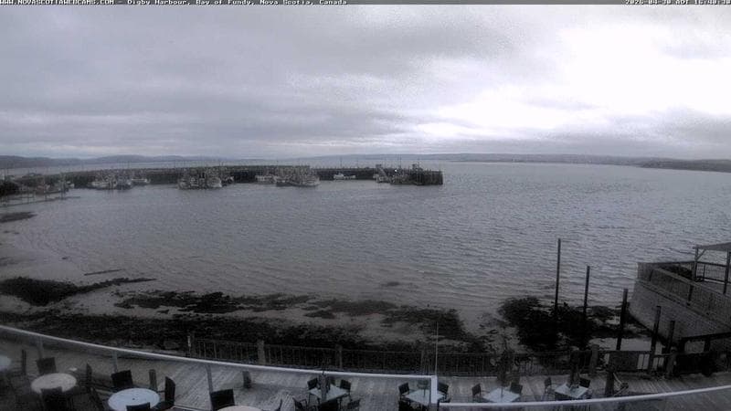 Digby Harbour