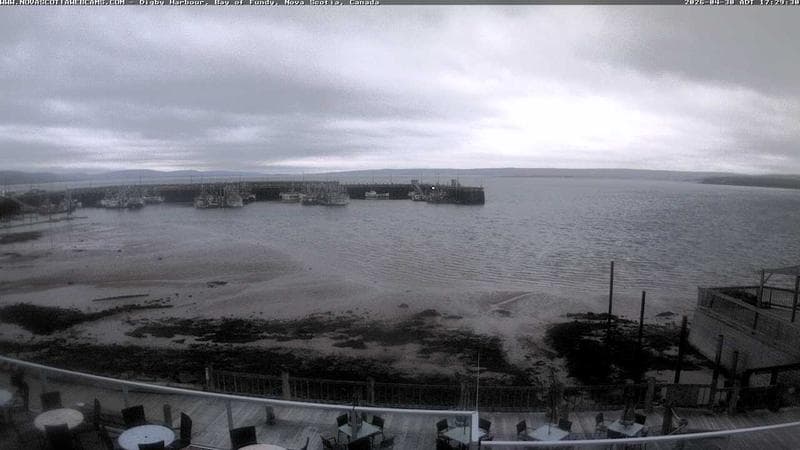Digby Harbour