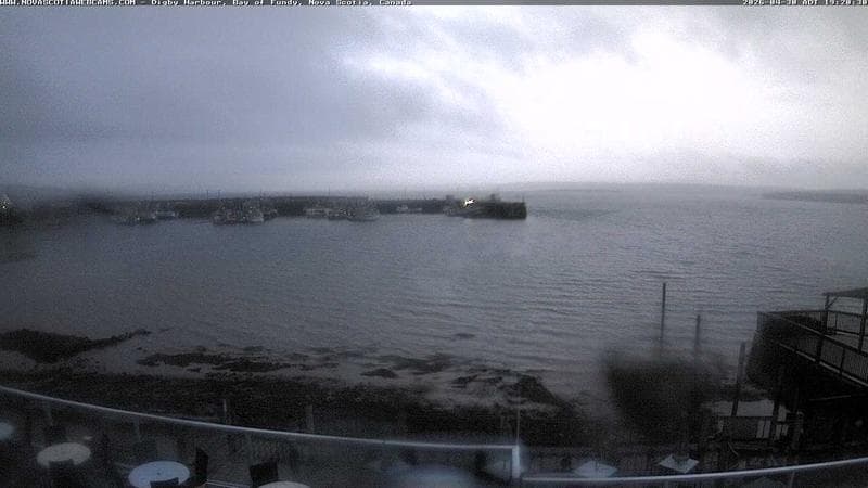 Digby Harbour