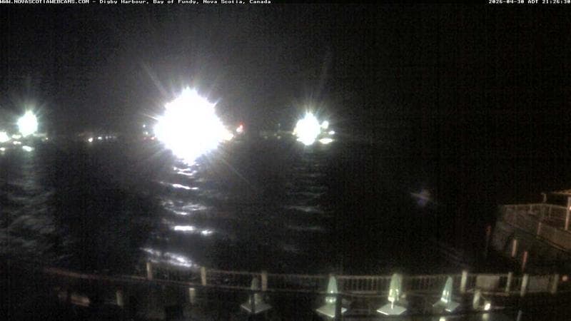 Digby Harbour