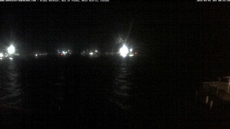 Digby Harbour