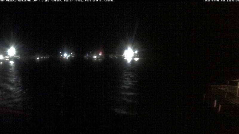Digby Harbour