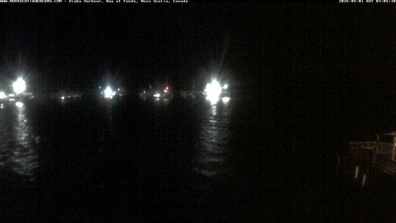 Digby Harbour