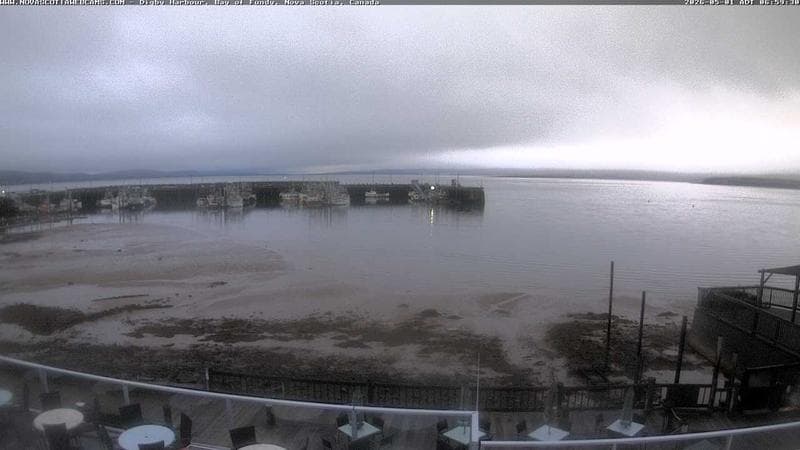 Digby Harbour