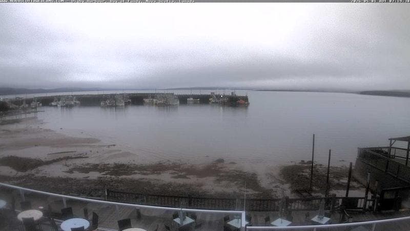 Digby Harbour