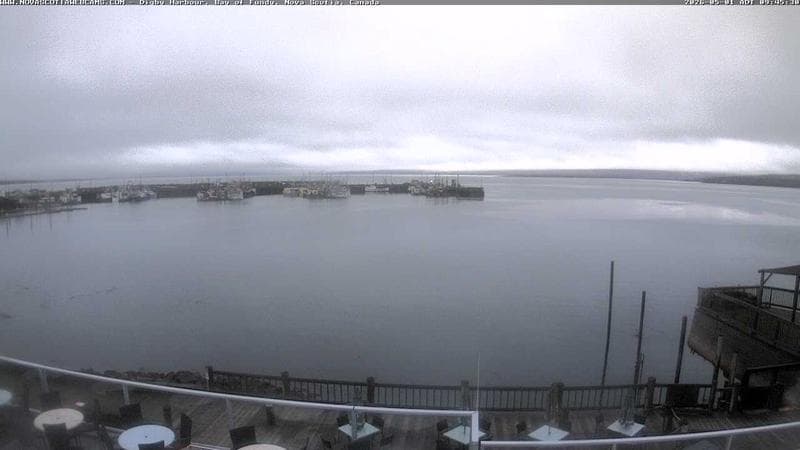 Digby Harbour