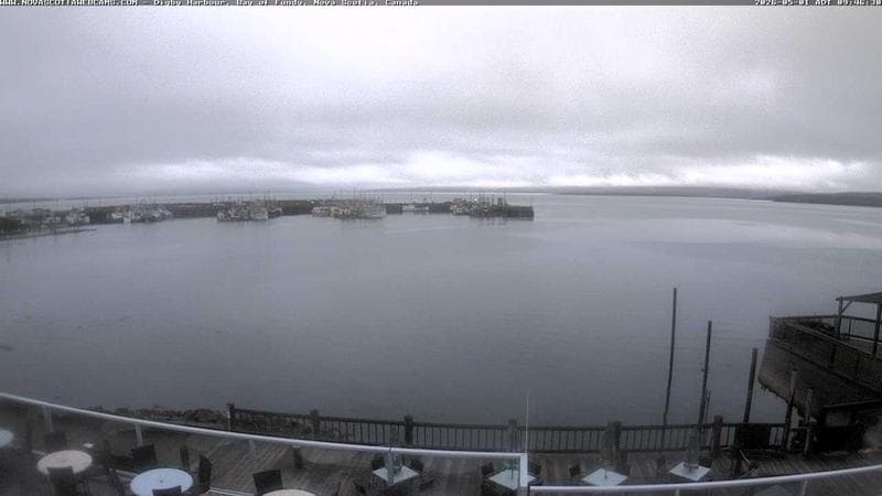 Digby Harbour