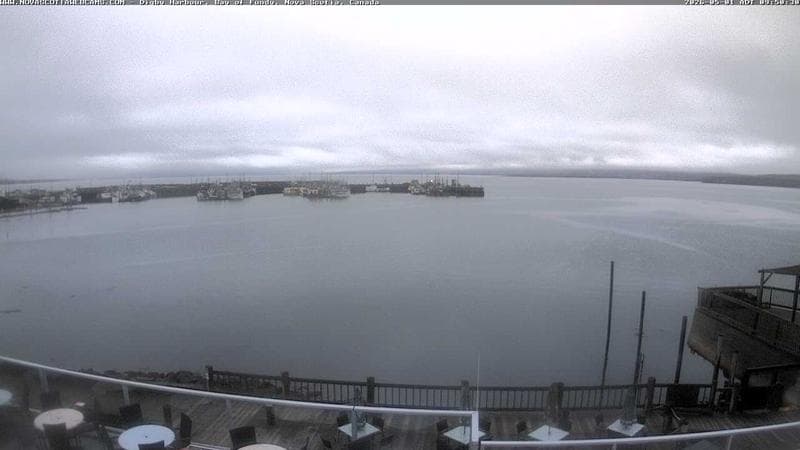 Digby Harbour