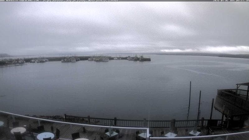 Digby Harbour