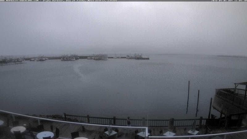 Digby Harbour