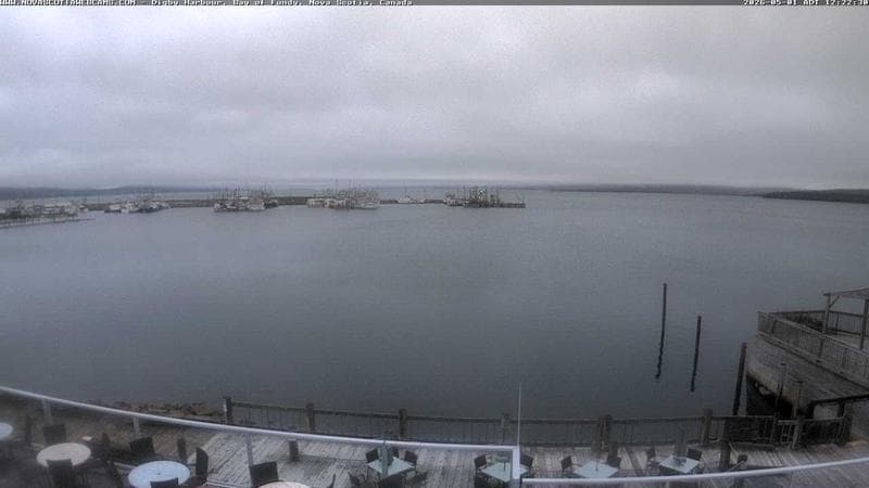Digby Harbour