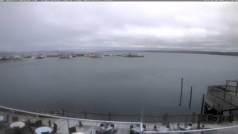 Digby Harbour