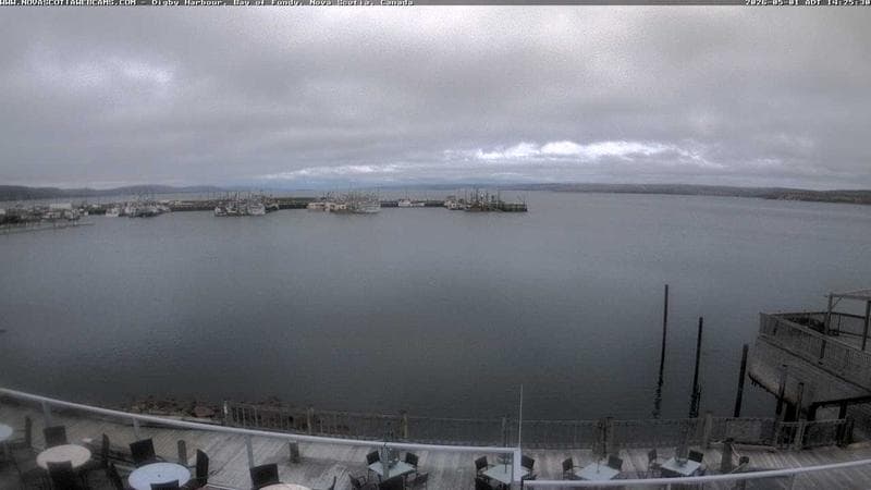 Digby Harbour