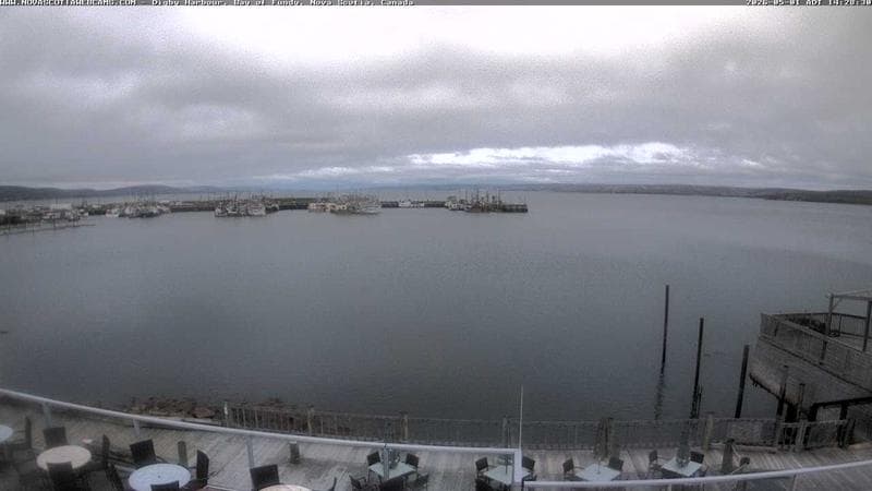 Digby Harbour
