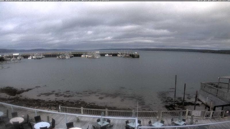 Digby Harbour