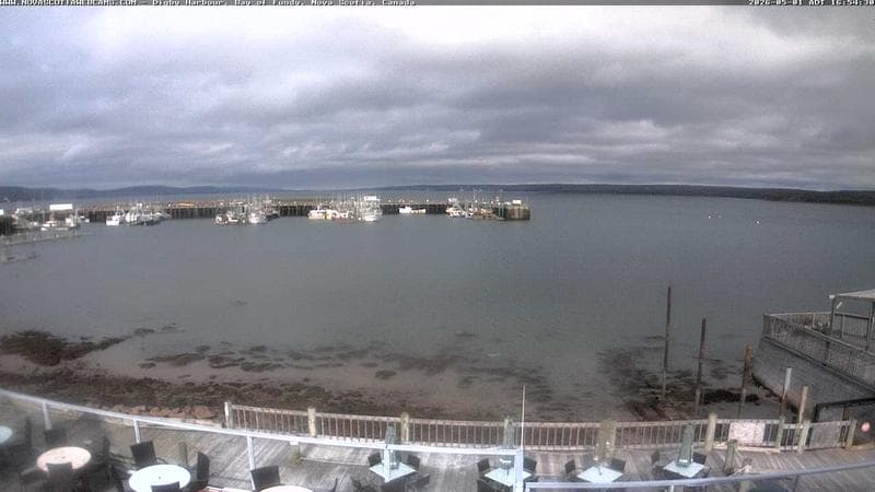 Digby Harbour