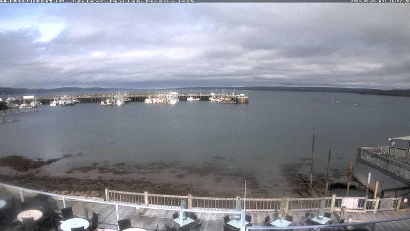 Digby Harbour