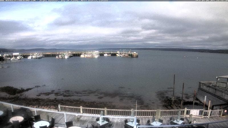 Digby Harbour