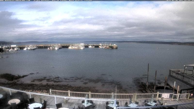 Digby Harbour
