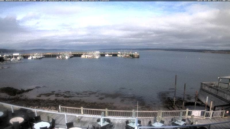 Digby Harbour