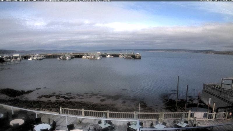 Digby Harbour