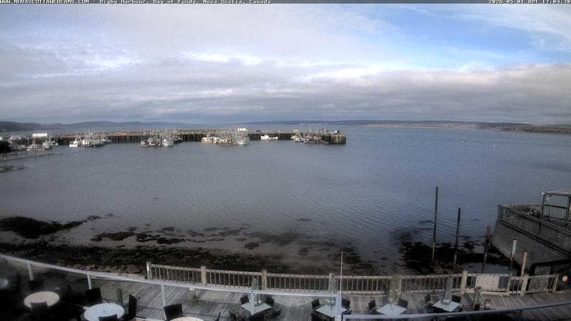 Digby Harbour
