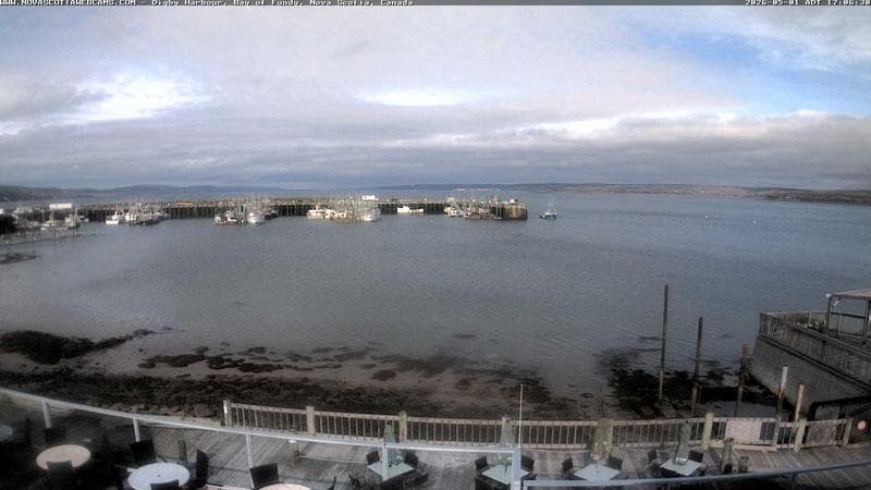 Digby Harbour