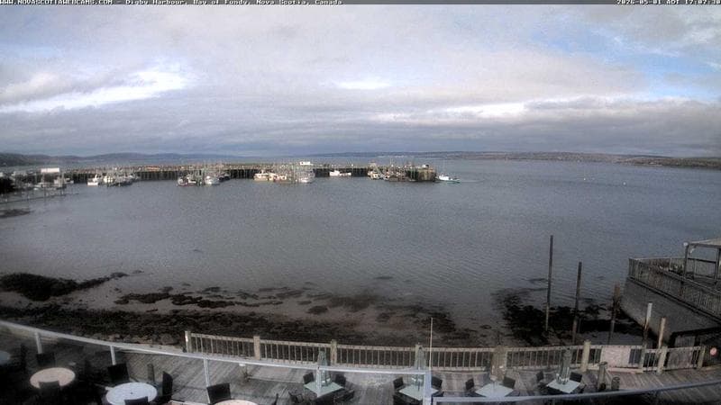 Digby Harbour