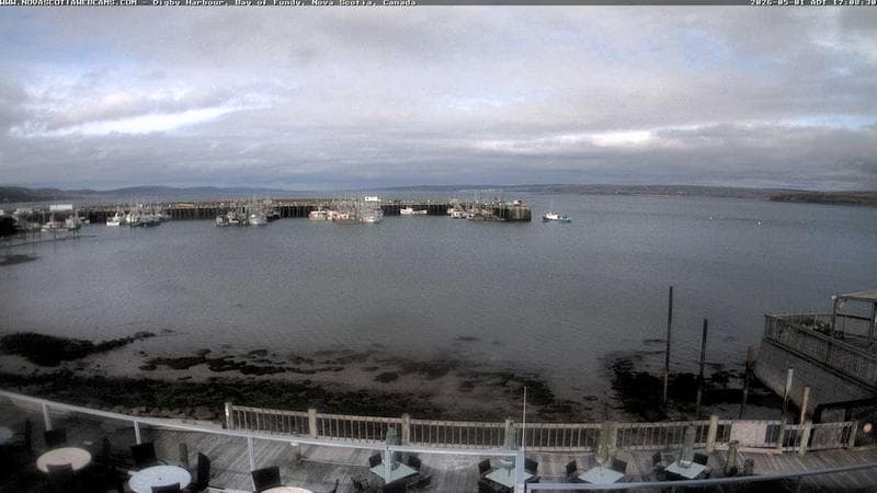 Digby Harbour