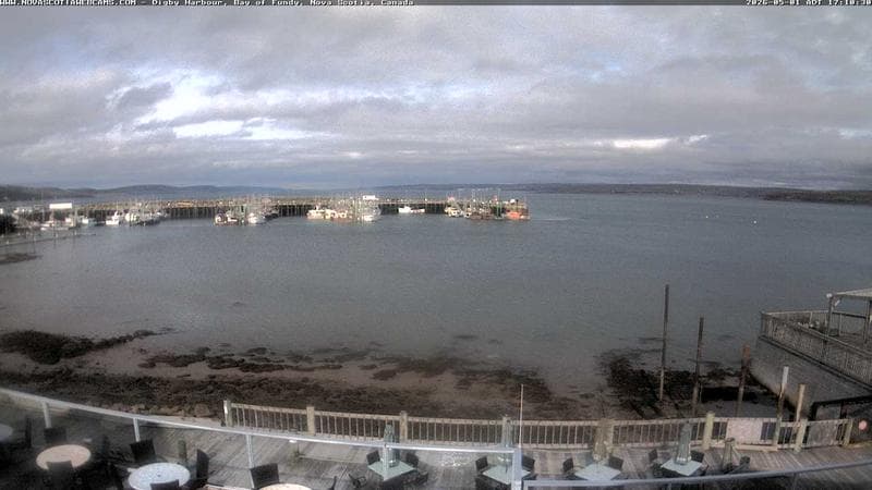 Digby Harbour