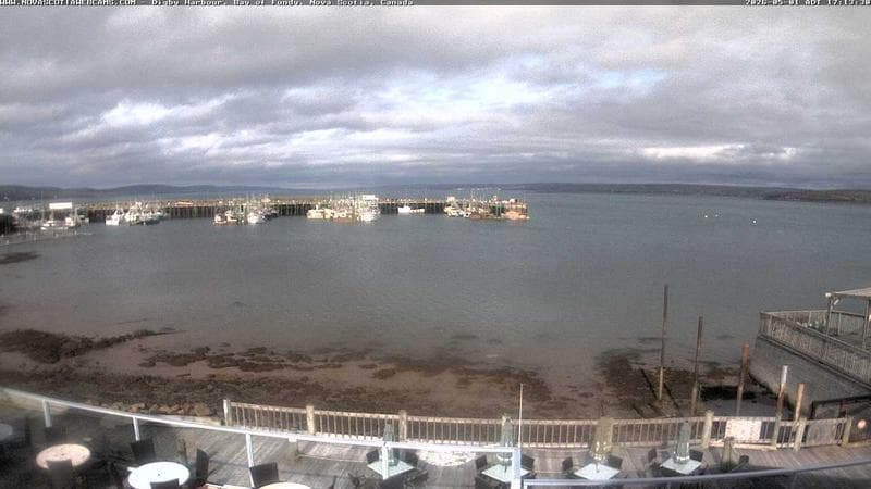 Digby Harbour