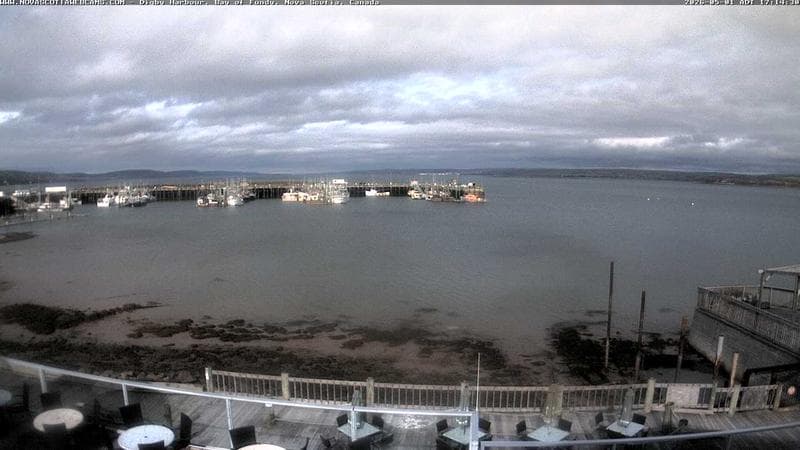 Digby Harbour