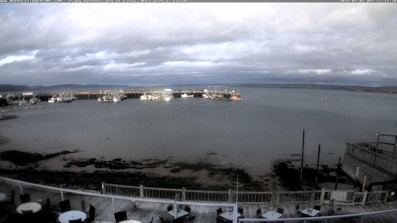 Digby Harbour