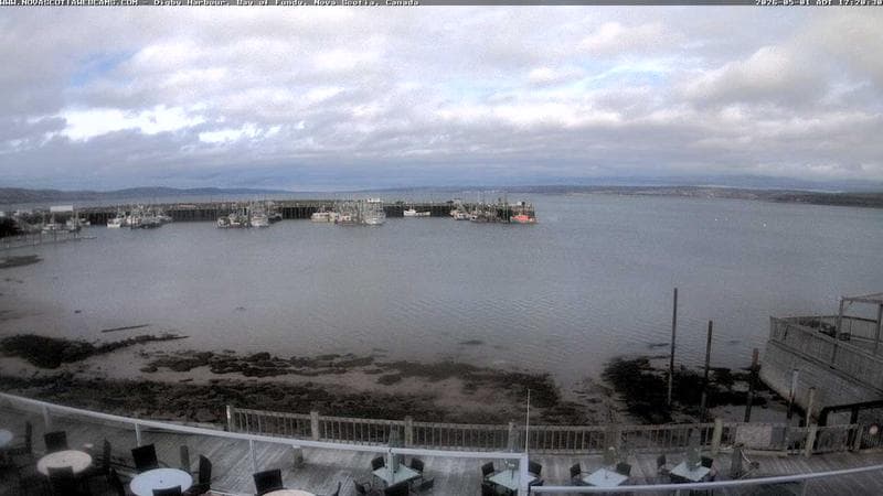 Digby Harbour