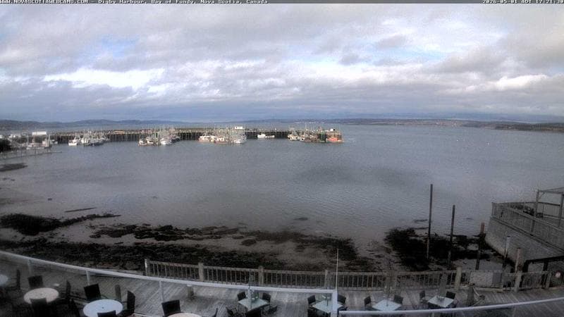 Digby Harbour