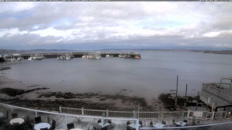 Digby Harbour