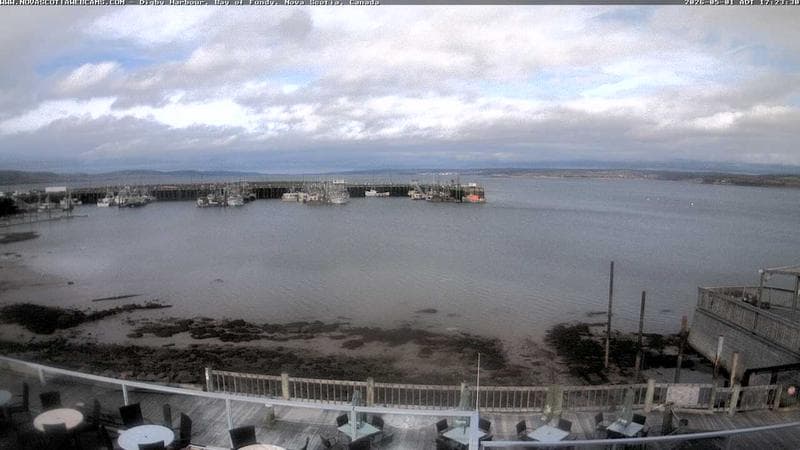 Digby Harbour