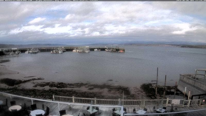 Digby Harbour
