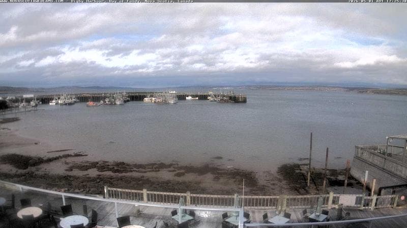 Digby Harbour
